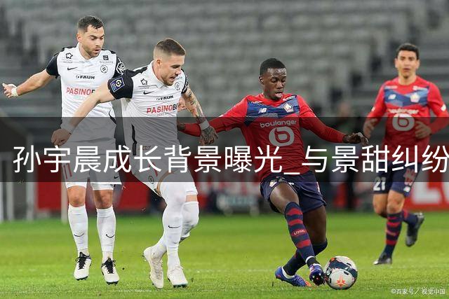 孙宇晨成长背景曝光 与景甜纠纷引热议